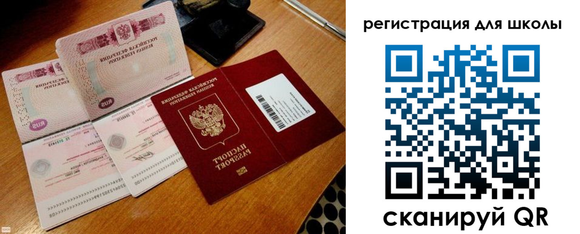 прописка законно в Алейске
